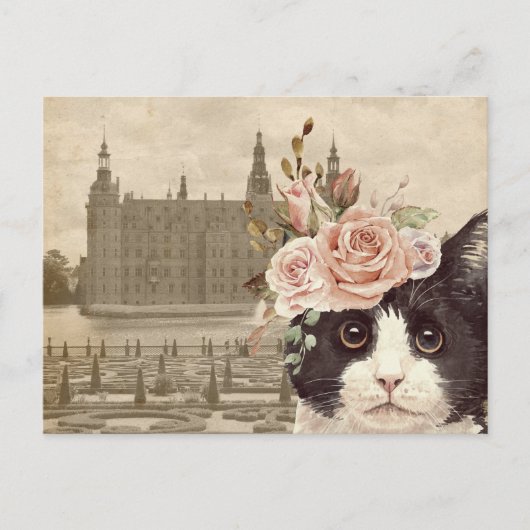 Extravagante Katze & Burg Postkarte (Vorderseite)