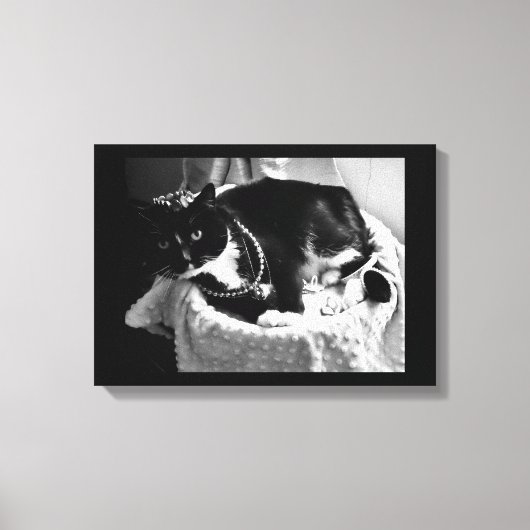 Extravagante Katze Leinwanddruck (Vorderseite)