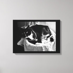 Extravagante Katze Leinwanddruck
