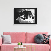 Extravagante Katze Leinwanddruck (Insitu (Wohnzimmer))