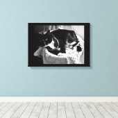 Extravagante Katze Leinwanddruck (Insitu (Holzboden))