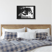 Extravagante Katze Leinwanddruck (Insitu (Schlafzimmer))