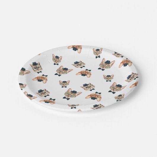 Extravagante Katzen I Pappteller (Schrägansicht)