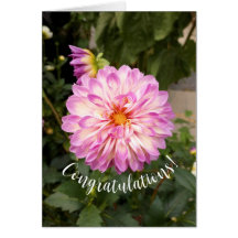 Extravagante Lila und weiße Dahlia Glückwunschkart