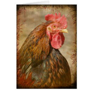 Extravagante Pflanze