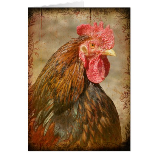 Extravagante Pflanze (Vorne)