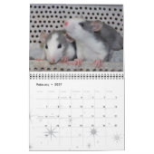 Extravagante Ratten - Kalender 2013 (Feb 2027)
