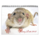 Extravagante Ratten - Kalender 2013 (Titelbild)