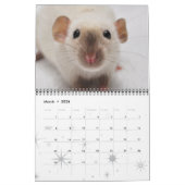 Extravagante Ratten - Kalender 2013 (Mär 2026)
