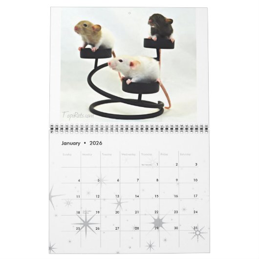 Extravagante Ratten - Kalender 2013 (Jan 2026)
