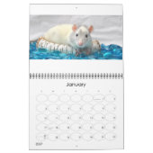 Extravagante Ratten - Kalender 2014 (Jan 2027)
