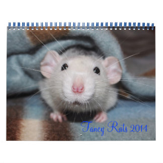 Extravagante Ratten - Kalender 2014