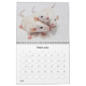 Extravagante Ratten - Kalender 2014 (Feb 2026)