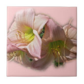 Extravagante rosa Taglilien Fliese (Vorderseite)