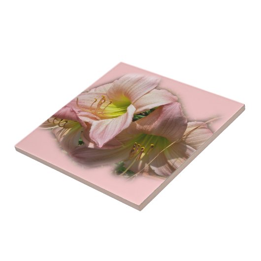 Extravagante rosa Taglilien Fliese (Seite)