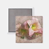Extravagante rosa Taglilien Magnet (Vorderseite/Rückseite)