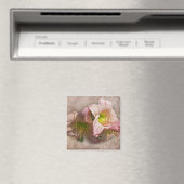 Extravagante rosa Taglilien Magnet (In Situ (Geschirrspüler))
