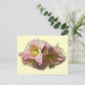 Extravagante rosa Taglilien Postkarte (Stehend Vorderseite)