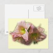 Extravagante rosa Taglilien Postkarte (Vorne/Hinten)