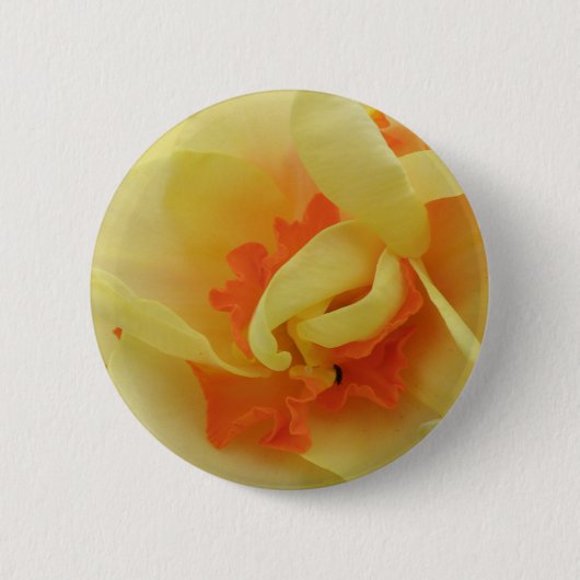 Extravagante Taste Button (Vorderseite)
