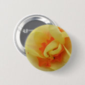 Extravagante Taste Button (Vorne & Hinten)