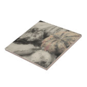 Extravagante Waren in Schwarz und Weiß Fliese (Seite)