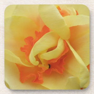 Extravaganter Daffodil Cork Untersetzer