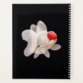 Extravaganter Fantail Goldfish Wochenplaner (Rückseite)
