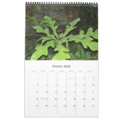 Extravaganter Foilage, Kalender 2009 (Jan 2026)