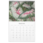 Extravaganter Foilage, Kalender 2009 (Mär 2026)