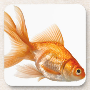 Extravaganter Goldfish Getränkeuntersetzer