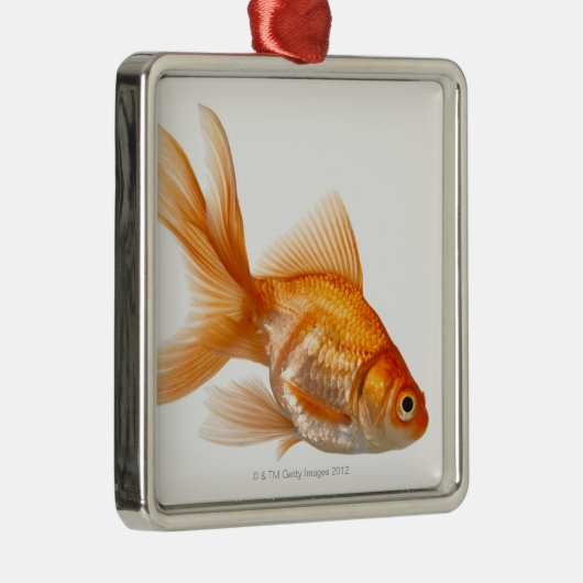 Extravaganter Goldfish Silbernes Ornament (Rechts)