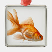 Extravaganter Goldfish Silbernes Ornament (Vorne)