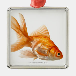 Extravaganter Goldfish Silbernes Ornament
