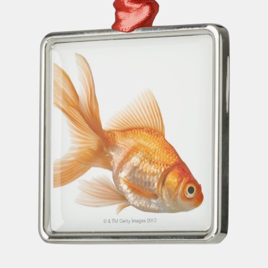 Extravaganter Goldfish Silbernes Ornament (Links)