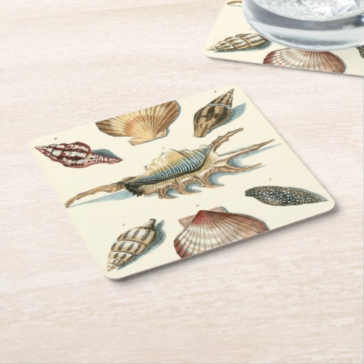Extravaganter Muschel-Strand Rechteckiger Pappuntersetzer (angewinkelt)