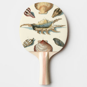 Extravaganter Muschel-Strand Tischtennis Schläger