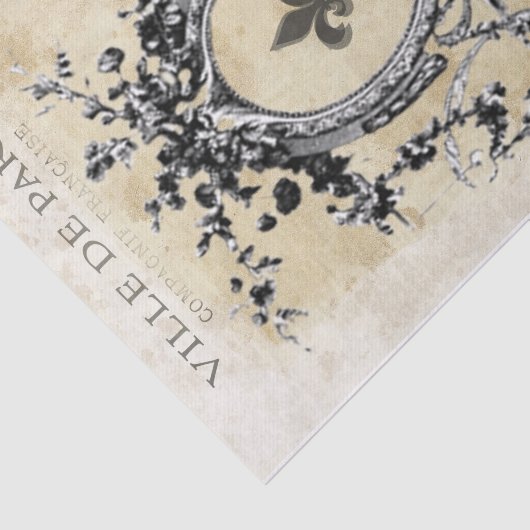 Extravaganter Rahmen Seidenpapier (Ausschnitt)