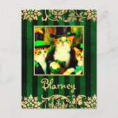 Extravaganter St Patrick's Day Katzen Blarney mit  Postkarte (Vorderseite)