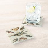 Extravaganter Strand der Muschel Glasuntersetzer (Schrägansicht)