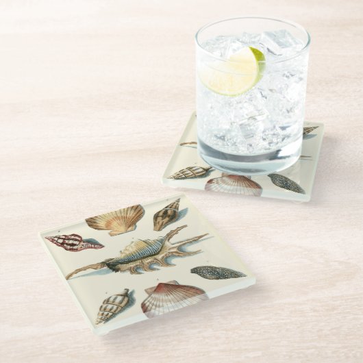 Extravaganter Strand der Muschel Glasuntersetzer (Schrägansicht)