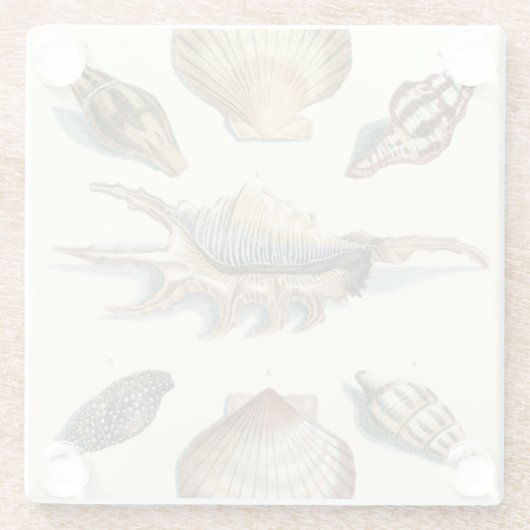 Extravaganter Strand der Muschel Glasuntersetzer (Rückseite)