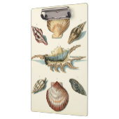 Extravaganter Strand der Muschel Klemmbrett (Links)