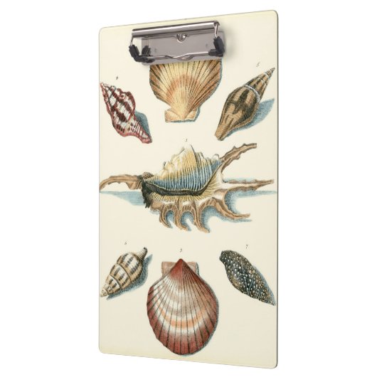 Extravaganter Strand der Muschel Klemmbrett (Links)