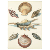 Extravaganter Strand der Muschel Klemmbrett (Rückseite)