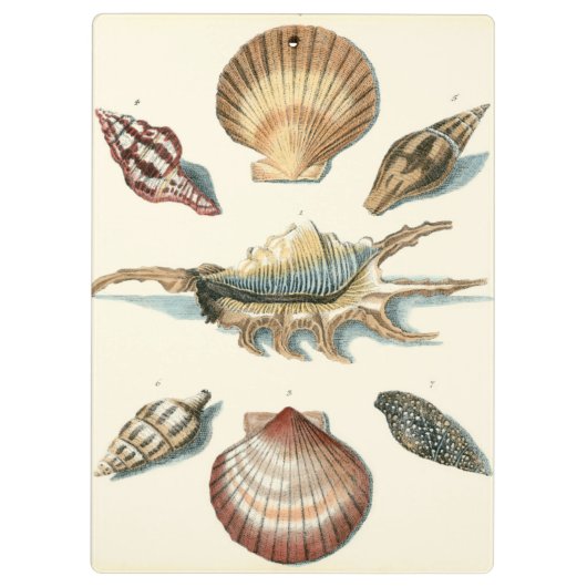 Extravaganter Strand der Muschel Klemmbrett (Rückseite)