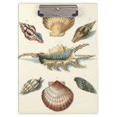Extravaganter Strand der Muschel Klemmbrett (Vorderseite)