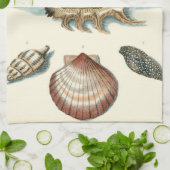 Extravaganter Strand der Muschel Küchentuch (Gefaltet)