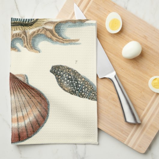 Extravaganter Strand der Muschel Küchentuch (Viertel Falte)