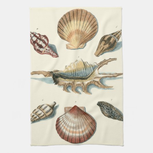 Extravaganter Strand der Muschel Küchentuch (Vertikal)
